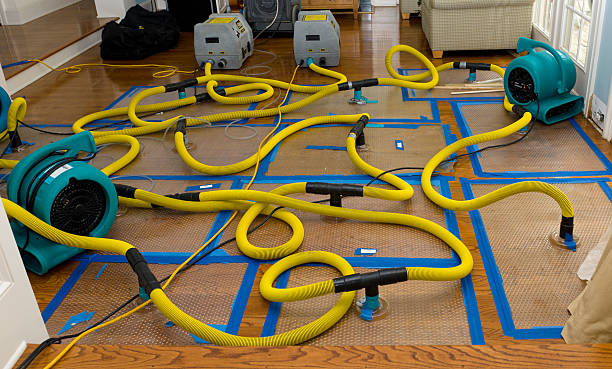 Professional Structural Drying And Dehumidification technician working in Burbank, WA