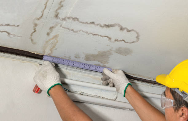 Affordable Water Damage Repair solutions in Burbank, WA